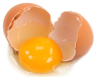 Understanding Thermoset Plastics Understanding Thermoset Plastics